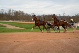 Cheval,-Chevaux,-Domaine-de-Grosbois,-Drivers,Grosbois,-Kaleidos,-Kaleidos-images,-La-parole-à-limage,-Marolles-en-Brie,-Sulky,-Tarek-Charara,-Trot,-Trotteurs